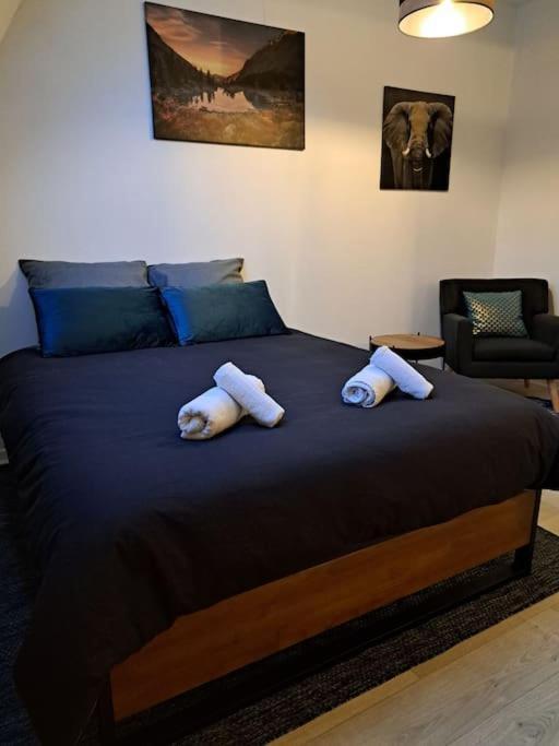 Confortable Studio Renove Cambrai Eksteriør billede
